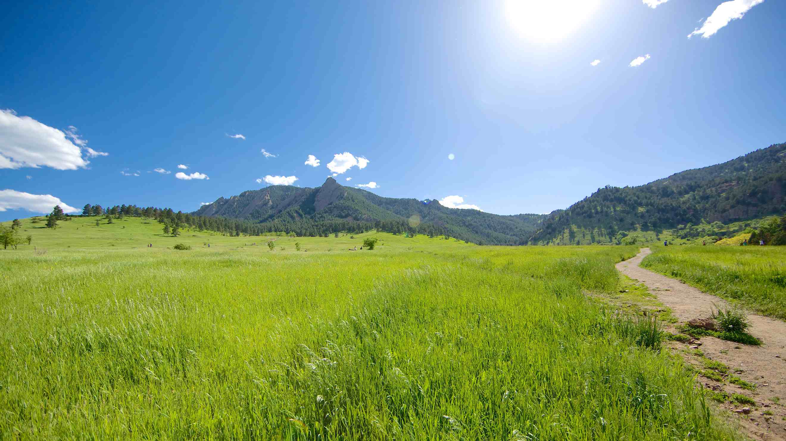 payless boulder
