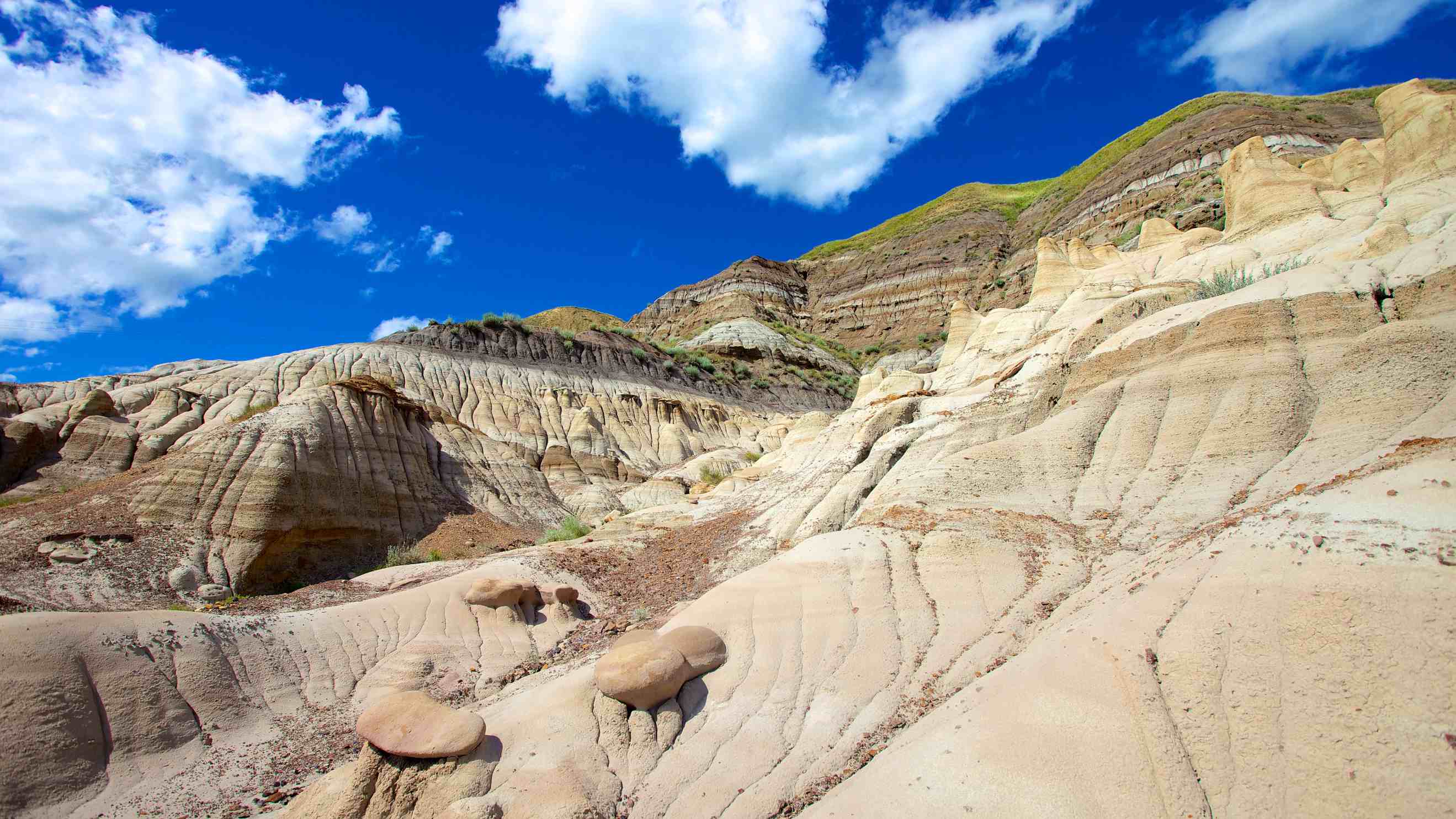 Drumheller Local Expert trouvez des choses à faire à Drumheller