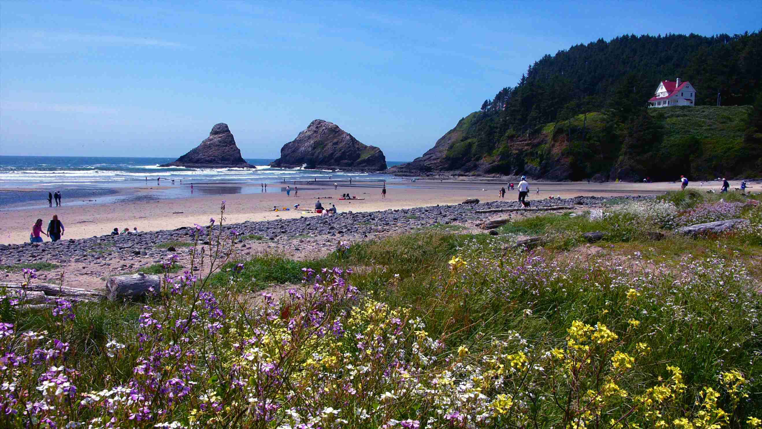 Cheap Hotels In Eugene Cheap Hotels In Eugene