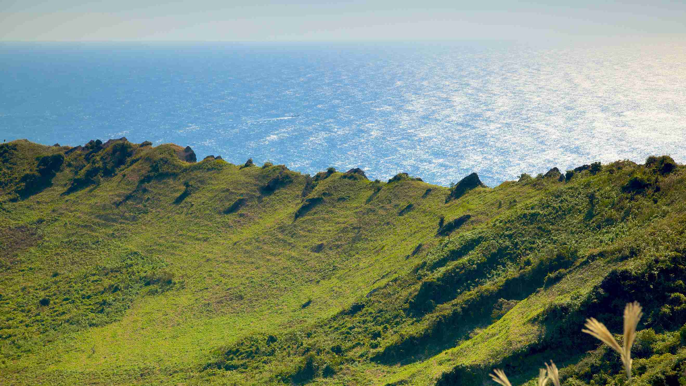 Reise nach Jeju Island Kurzurlaub mit Expedia.de