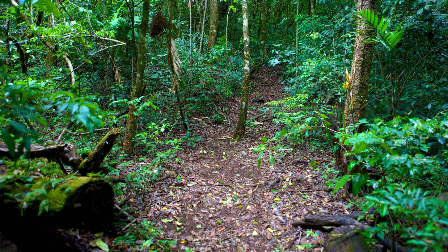 Liberia Costa Rica Thrifty Car Rental Liberia Costa Rica Thrifty Car Rental