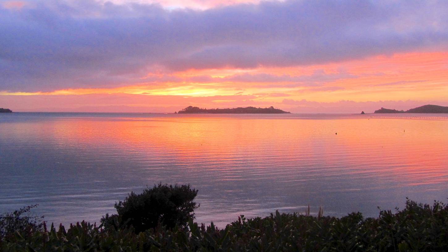 Car Hire Waiheke Car Hire Waiheke