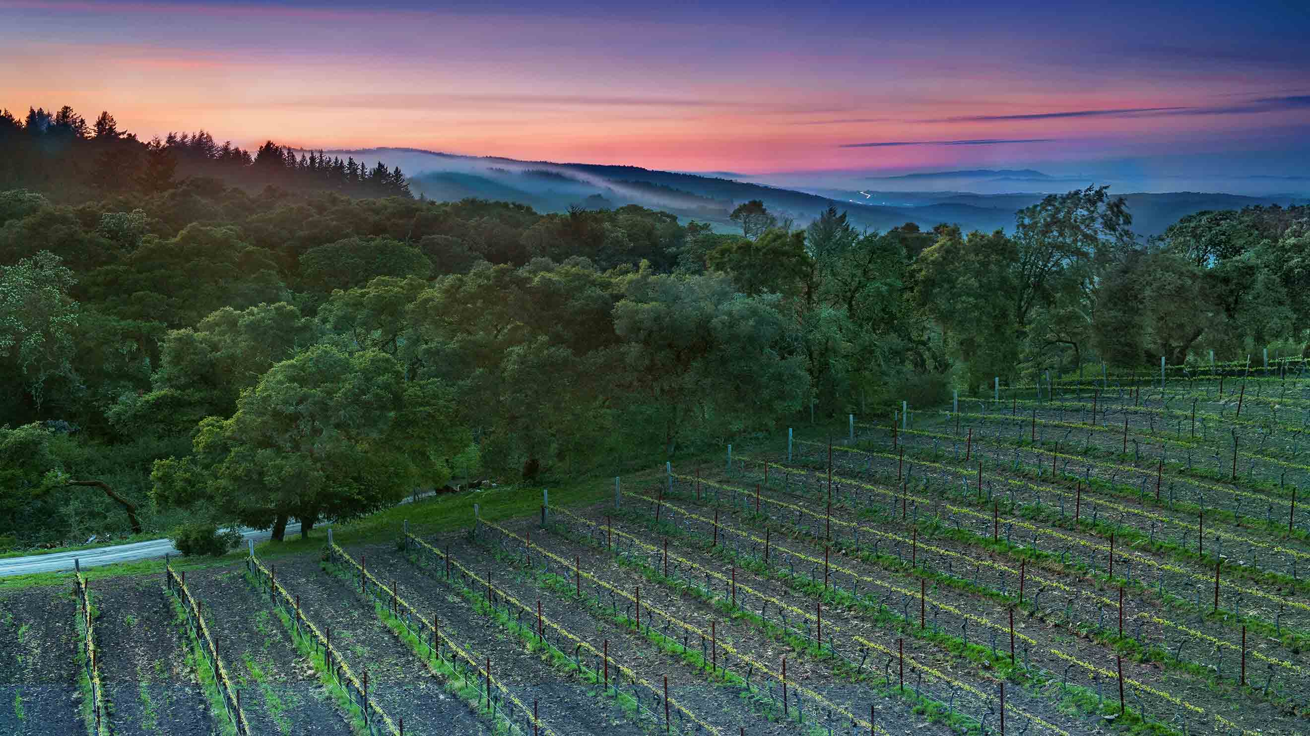 travel and leisure yountville