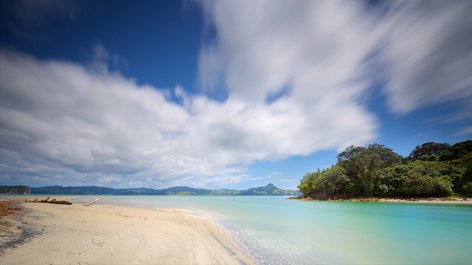 Cooks Beach in Coromandel, | Expedia.ca