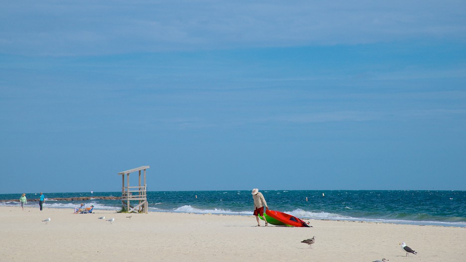 Seagull Beach in West Yarmouth, Expedia
