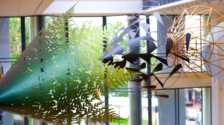 Dunedin Public Art Gallery in Dunedin, Expedia
