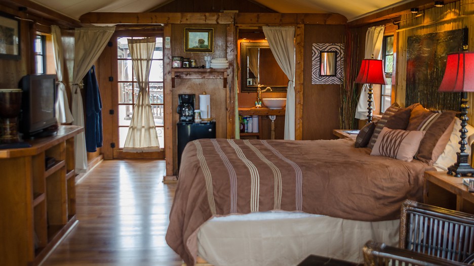 Turpentine Creek Wildlife Refuge Eureka Springs, Arkansas Attraction