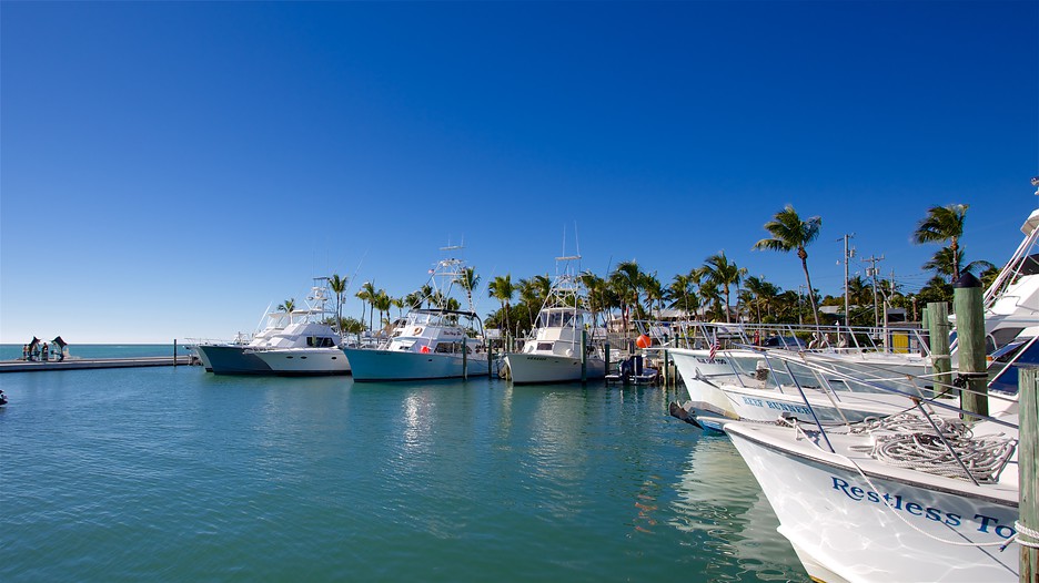 Cheap vacation deals down south