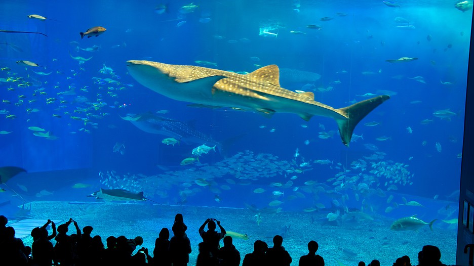 Städtereisen Okinawa - Reisen & Kurzurlaub bei Expedia.de