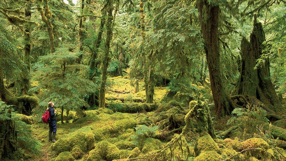 Séjour ColombieBritannique Découvrez nos meilleurs Forfaits Vacances