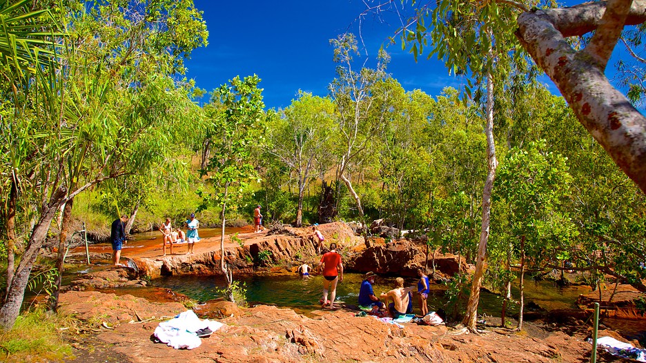 Litchfield National Park Darwin, Northern Territory Attraction