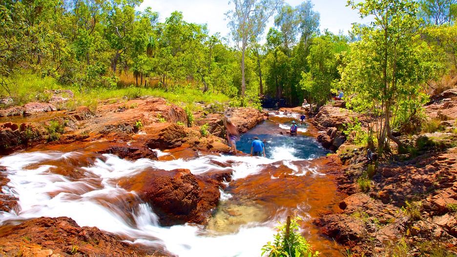 Litchfield National Park Darwin, Northern Territory Attraction