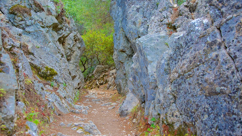 seven springs One of the most charming destinations on rhodes , seven springs offers a cool, magical landscape, a real oasis, especially in the heat of high summer, swamped in. seven springs One of the most charming destinations on rhodes , seven springs offers a cool, magical landscape, a real oasis, especially in the heat of high summer, swamped in.