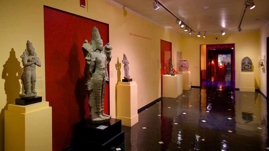 Newark Museum in Newark, New Jersey Expedia