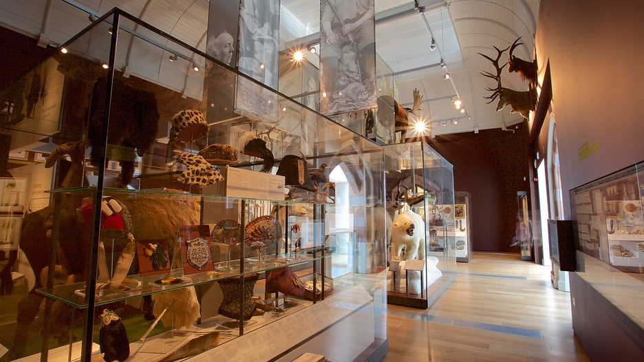 Royal Albert Museum and Art Gallery Exeter, England Attraction