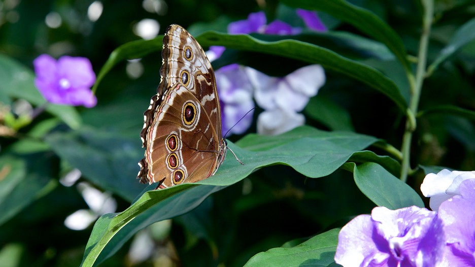 Top Key West Nature & Wildlife Areas: See reviews and photos of nature & wildlife areas in Key West, Florida on TripAdvisor.