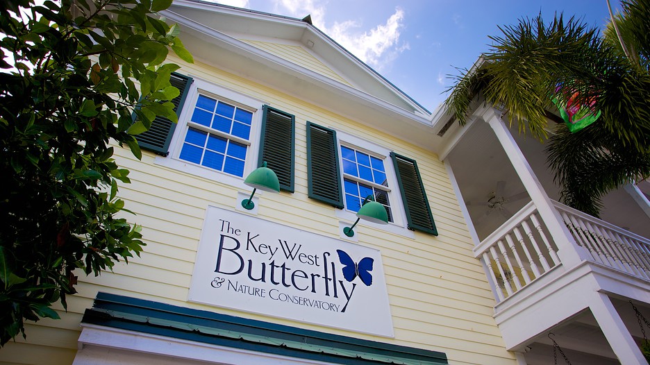 Key West Butterfly and Nature Conservatory in Key West, Florida Expedia