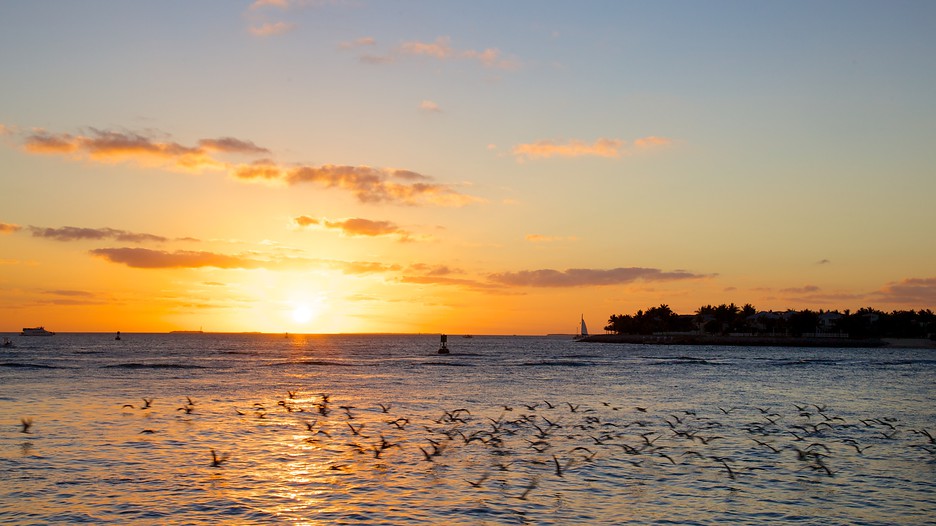 Mallory Square in Key West, Florida Expedia
