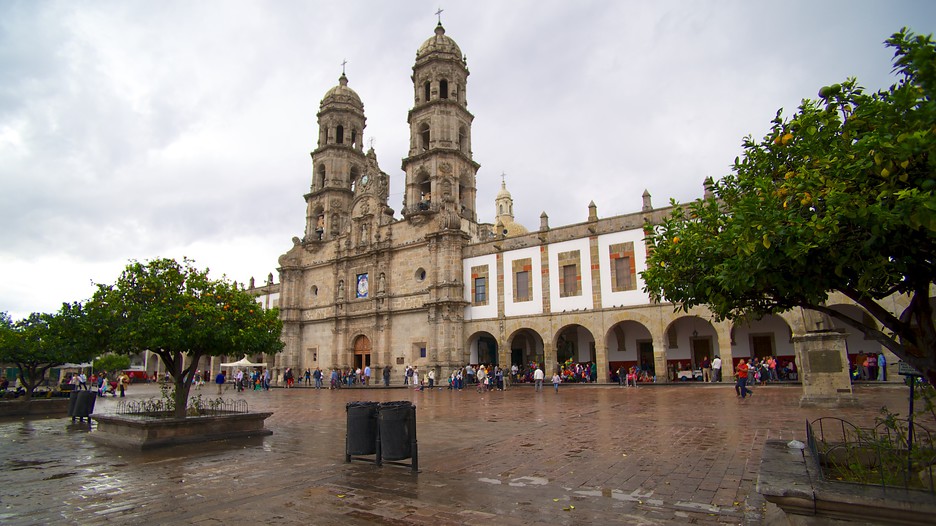 Resultado de imagem para ZAPOPAN