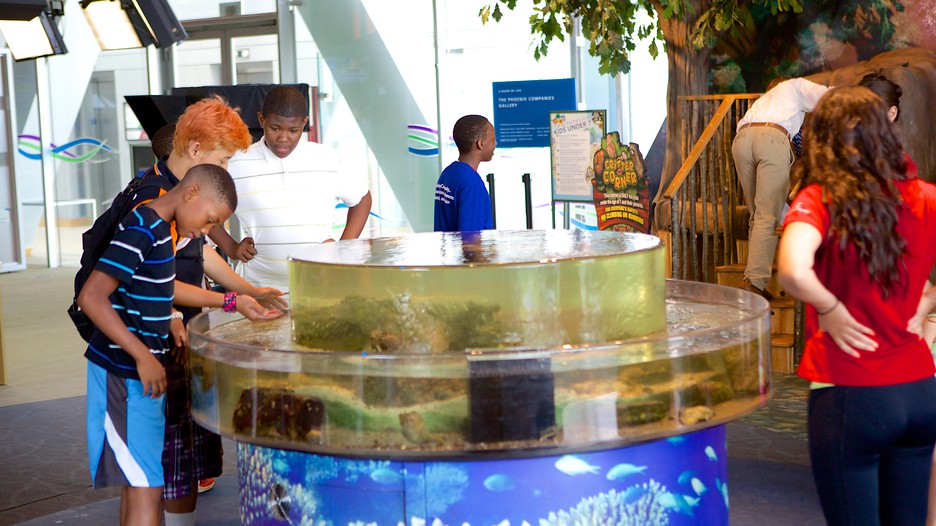 Coupon ct science museum