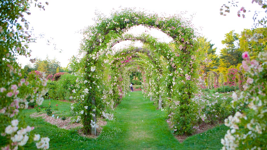 Elizabeth Park in Hartford, Connecticut Expedia