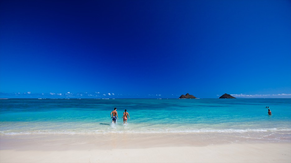 Kailua Beach Hotels Kailua Beach Hotels