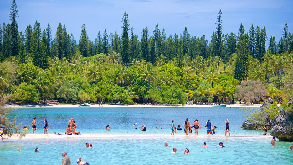 Last Minute Car Rental Specials Book with Last Minute Travel, and enjoy great car rental rates and deals. Bundle your rental into a vacation package for even greater savings.