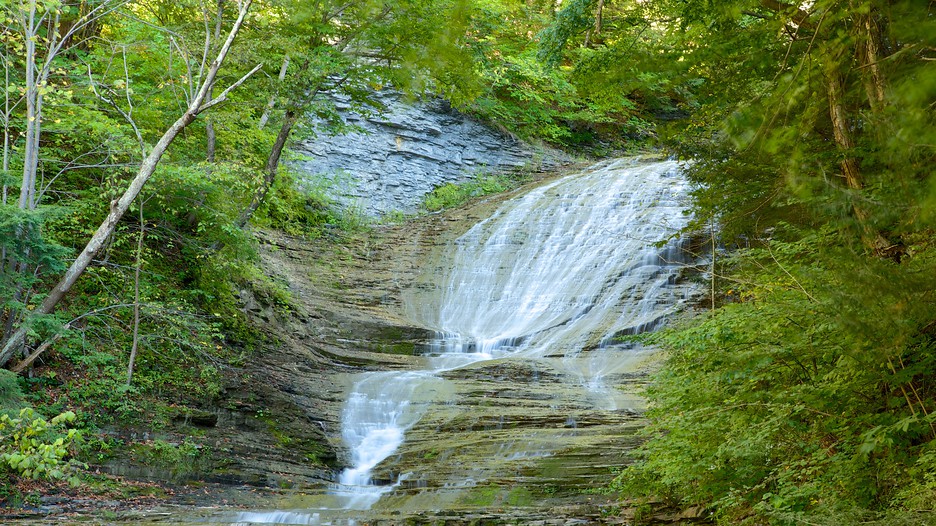 Buttermilk Falls State Park in Ithaca, New York Expedia