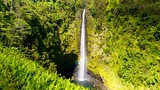 Showing item 14 of 65. Akaka Falls - Hawaii Island - Tourism Media