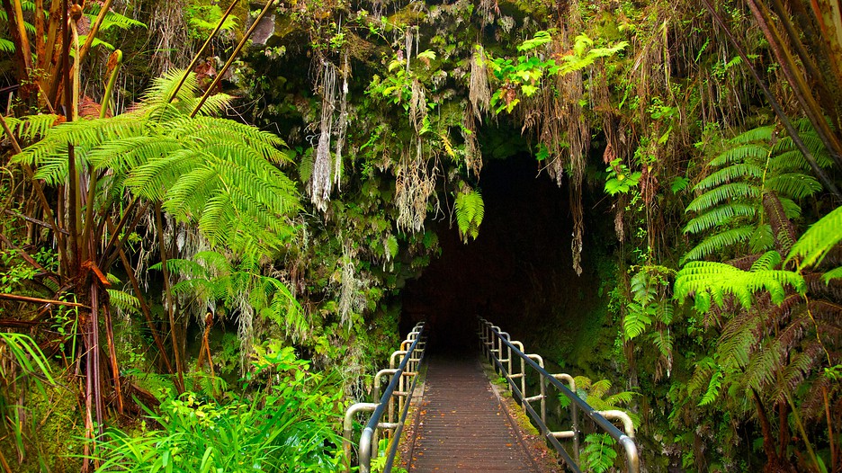 Hawaii Big Island Family Vacation Packages Hawaii Big Island Family Vacation Packages