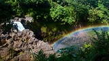 Showing item 47 of 65. Rainbow Falls - Hawaii Island - Tourism Media