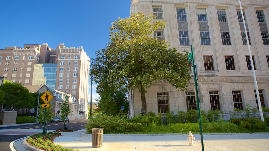 Jackson Vacations 2017: Package & Save up to $603 | Expedia