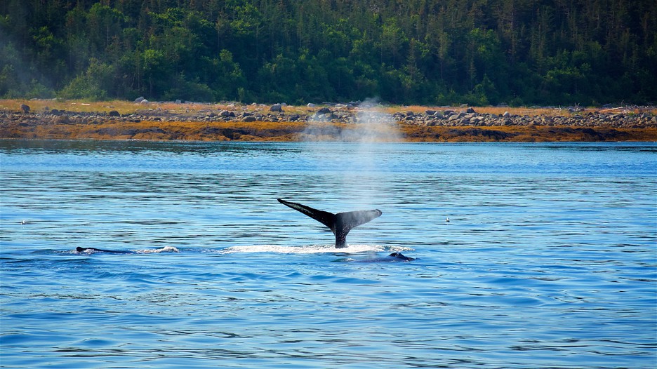 funter bay alaska state marine park