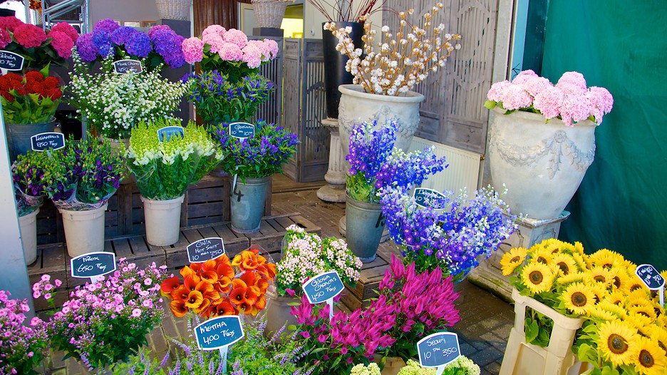 Flower Market in Amsterdam, Expedia