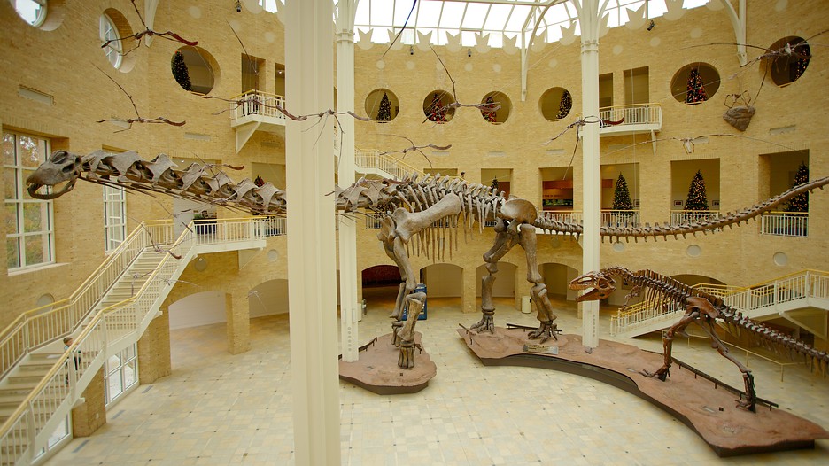 Natural Science Museum Atlanta Ga Natural Science Museum Atlanta Ga