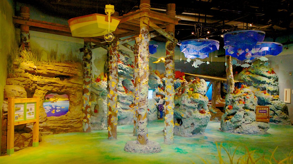 Fernbank Museum Of Natural History Fernbank Museum Of Natural History
