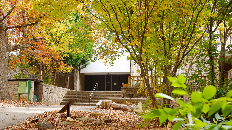 25 Best Things to Do in Atlanta, GA Not all of these programs are restricted to gifted and talented children. This list is simply intended to help you find opportunities that match your child's interests. I have tried to include a bit about the application process, where there is one, to give you an idea of how selective the program may be. To.