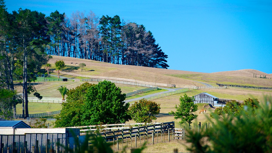 Flights hotel automobile deals how to get reasonably-priced hotel offers