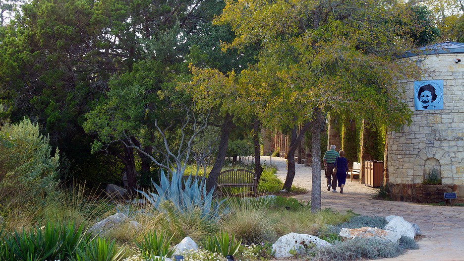 Lady Bird Johnson Wildflower Center in Austin, Texas Expedia