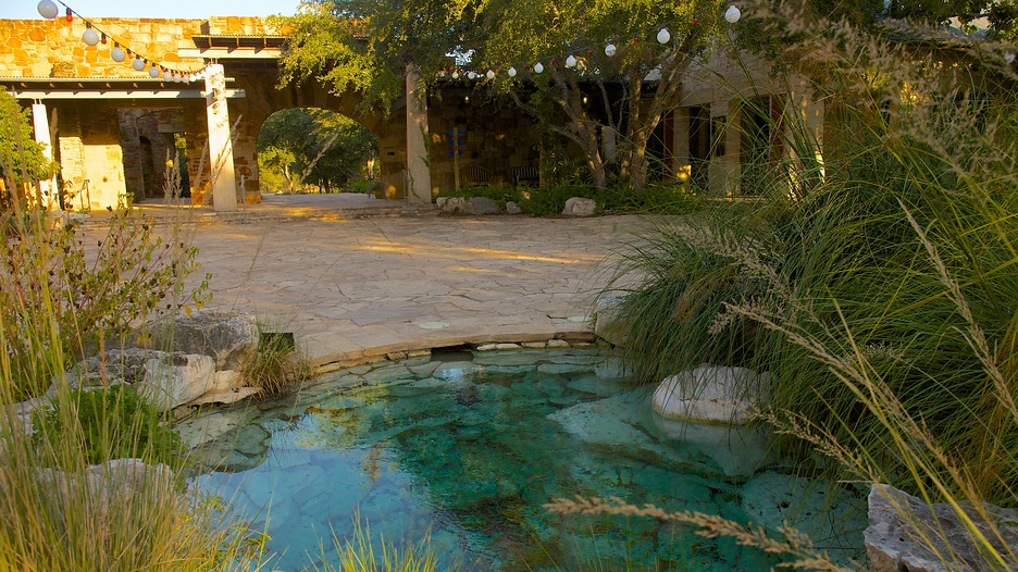 Lady Bird Johnson Wildflower Center Austin, Texas Attraction