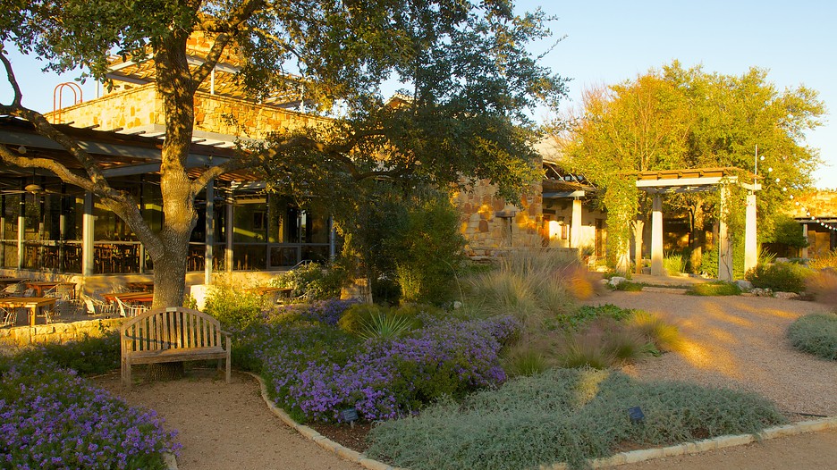 Lady Bird Johnson Wildflower Center Austin, Texas Attraction