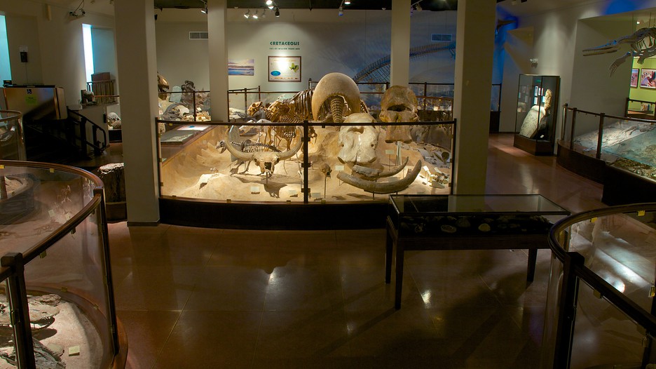 Texas Memorial Museum in Austin, Texas | Expedia