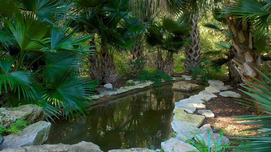 Zilker Botanical Garden in Austin, Texas Expedia