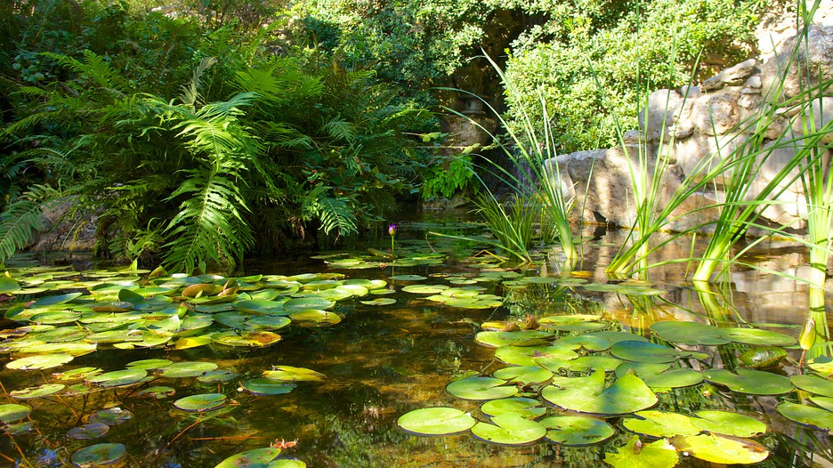 Houston Botanic Garden Houston Botanic Garden Life Houston Botanic Garden Houston Botanic Garden Life