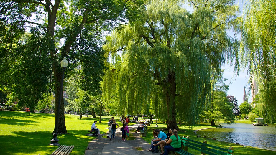 Boston Common in Boston Expedia.de