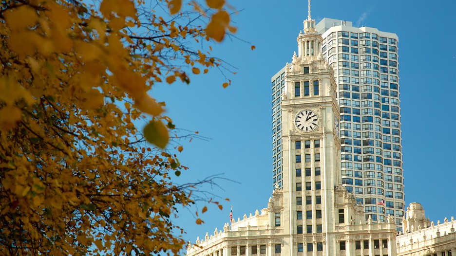 Condo deals chicago