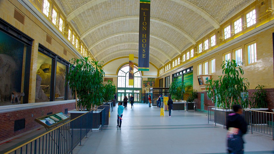 Lincoln Park Zoo Découvrez Chicago avec Expedia.fr