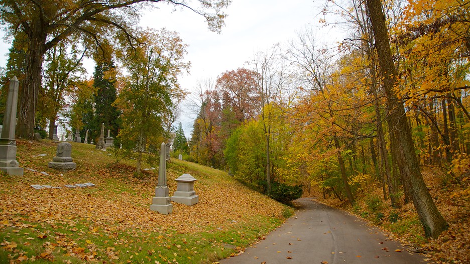 Spring Grove Cemetery in Cincinnati, Ohio Expedia.ca