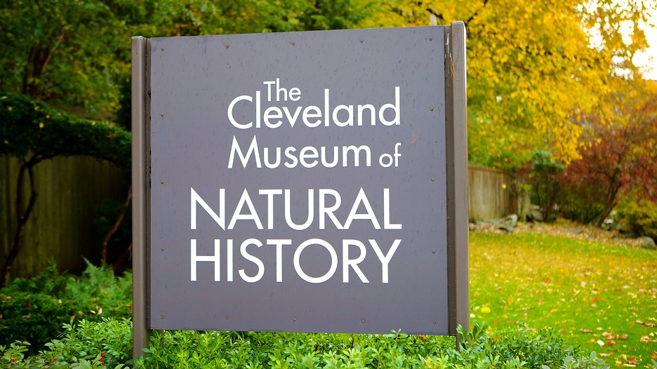 the history of cleveland ohio The cleveland police museum • 1300 ontario street • cleveland, ohio 44113 • 2166235055 our museum covers the entire history of the cleveland police department. the history of cleveland ohio The cleveland police museum • 1300 ontario street • cleveland, ohio 44113 • 2166235055 our museum covers the entire history of the cleveland police department.