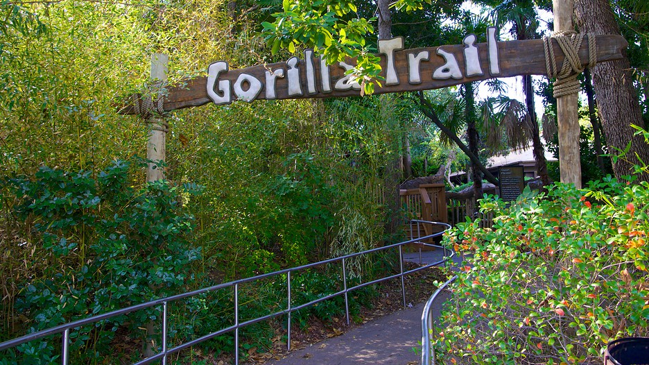 Dallas Zoo Dallas, Texas Attraction